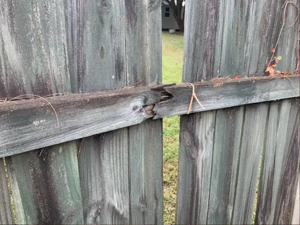 Home Skillman handyman advertising services for fence repair