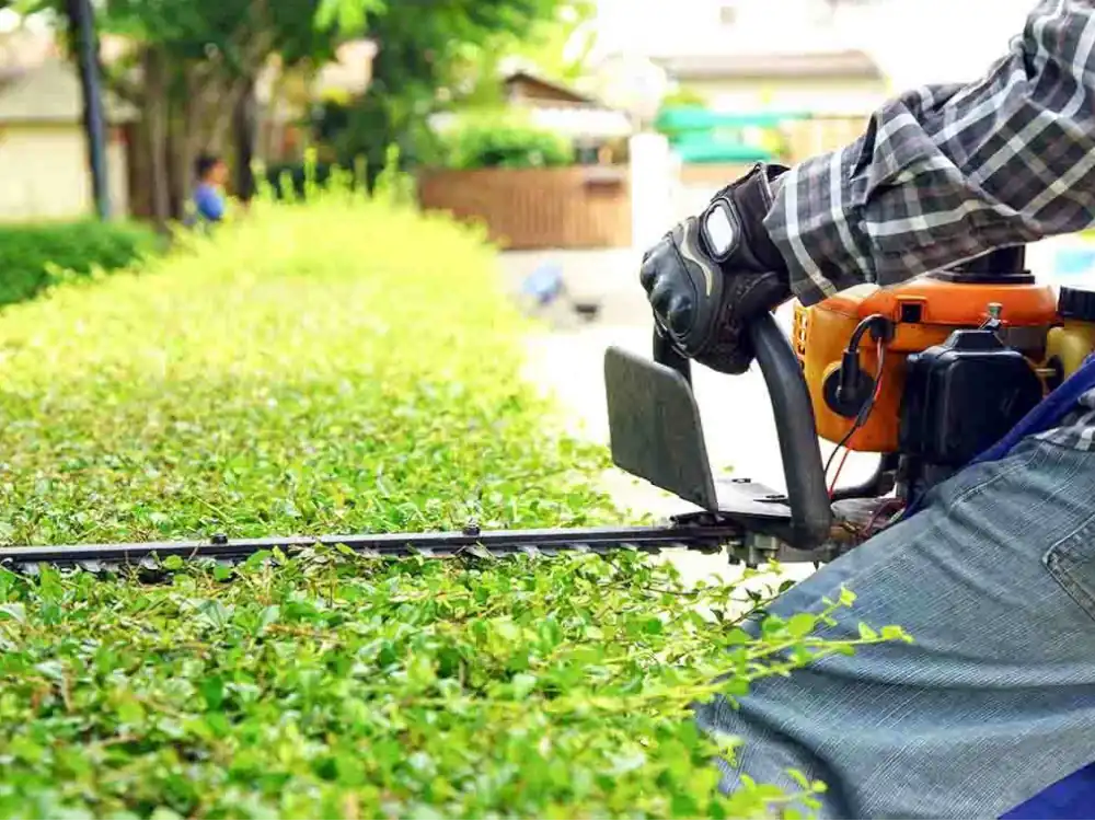 Home Skillman handyman advertising services for garden maintenance