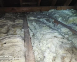 Old loft insulation prior to removal and modernising