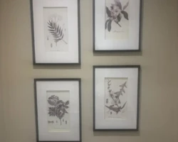4 theme pictures that were carefully hung with proportional considerations